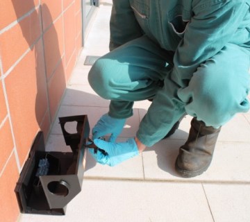 trappole per ratti trappole per ratti